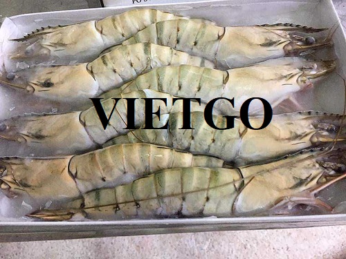 Thương vụ xuất khẩu tôm sú đông lạnh sang thị trường Ai Cập