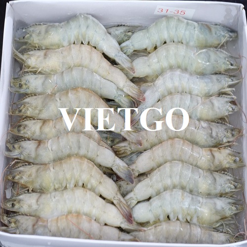 Thương vụ cung cấp tôm đông lạnh cho một Tập đoàn chế biến thực phẩm lớn tại Ý