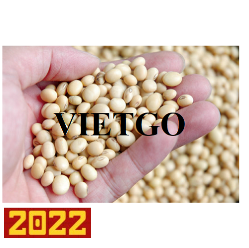Thương vụ xuất khẩu hạt đậu nành sang thị trường Trung Quốc