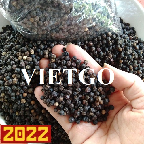 Thương vụ xuất khẩu hạt tiêu đen cả năm sang thị trường Ý