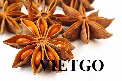 Cơ hội hợp tác với doanh nghiệp lớn tại Ấn Độ cho đơn hàng xuất khẩu quế và hồi