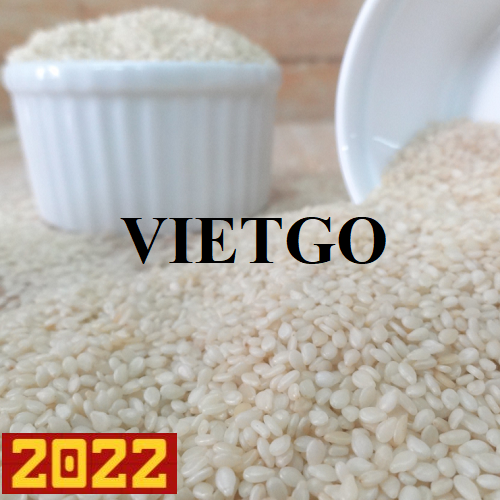 Cơ hội xuất khẩu hạt mè đến thị trường Ma Rốc