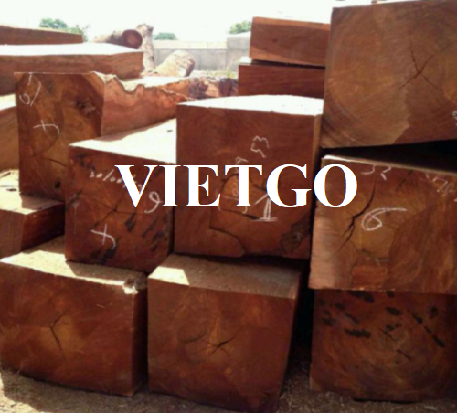 Thương vụ xuất khẩu gỗ xoan đào xẻ sang thị trường Malaysia