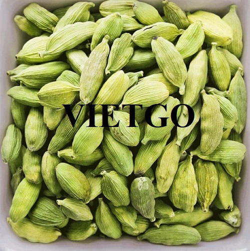 Thương vụ hợp tác với doanh nghiệp Ấn Độ để xuất khẩu sản phẩm thảo quả xanh