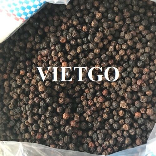 Giám đốc chuỗi cung ứng đến từ Ấn Độ cần tìm kiếm nhà cung cấp mặt hàng tiêu đen