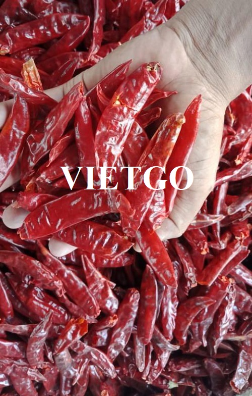 Cơ hội xuất khẩu ớt khô và bột ớt đến thị trường Ấn Độ