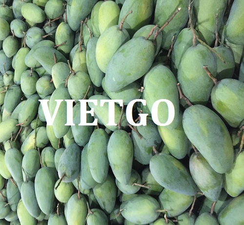 Thương vụ hợp tác với doanh nghiệp Dubai cho đơn hàng xoài xanh