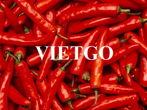 Thương vụ hợp tác với doanh nghiệp Dubai cho đơn hàng ớt tươi