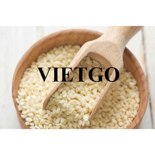 Thương vụ xuất khẩu hạt mè sang thị trường UAE