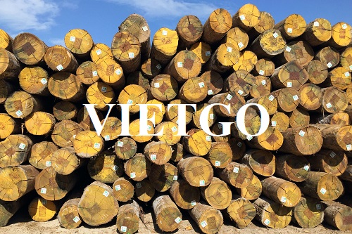 Doanh nghiệp tại Bỉ cần nhập khẩu mặt hàng gỗ bạch đàn tròn để hợp tác lâu dài