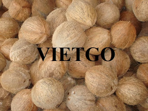 Cơ hội hợp tác xuất khẩu sản phẩm dừa đến thị trường Trung Quốc