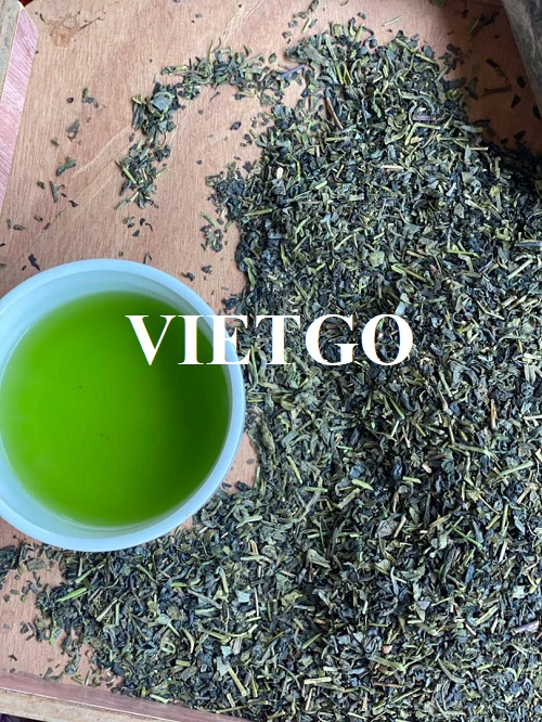 Vị khách hàng người Afghanistan đang cần nhập khẩu gấp mặt hàng chè khô