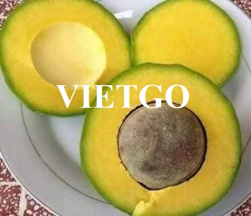 Cơ hội xuất khẩu bơ tươi sang thị trường Ukraine