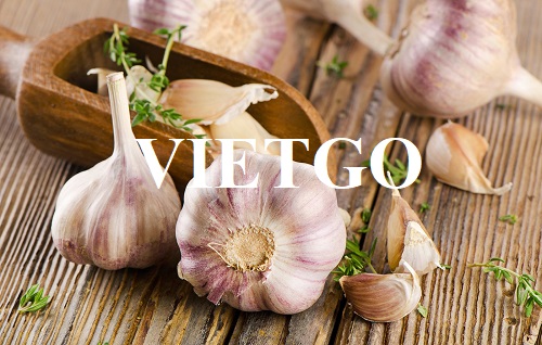 Cơ hội xuất khẩu tỏi tươi sang thị trường Ukraine