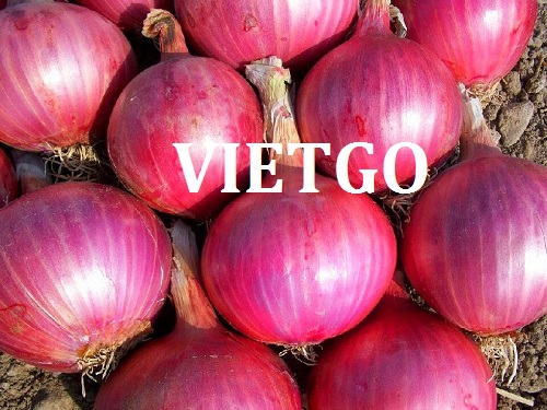 Cơ hội hợp tác với doanh nghiệp lớn tại UAE cho đơn hàng xuất khẩu hành tím