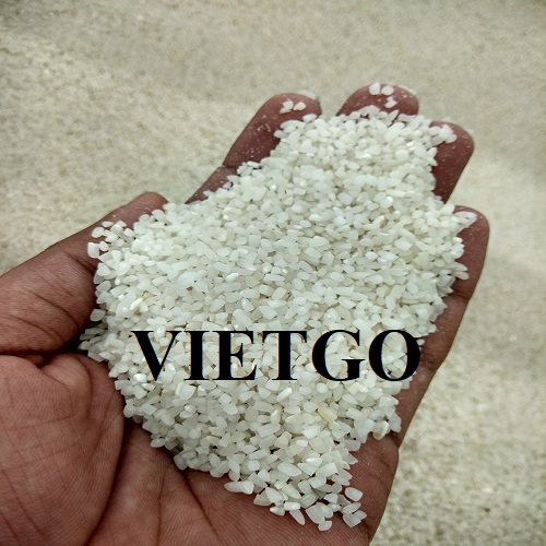 Thương vụ hợp tác xuất khẩu gạo trắng đến từ một doanh nghiệp lớn tại Hoa Kỳ