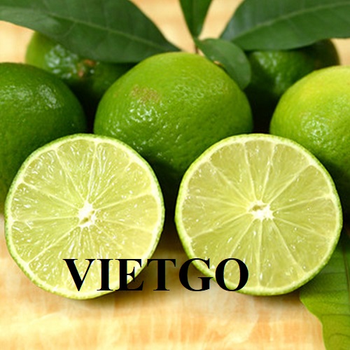 Cơ hội hợp tác với doanh nghiệp lớn tại UAE cho đơn hàng xuất khẩu chanh xanh