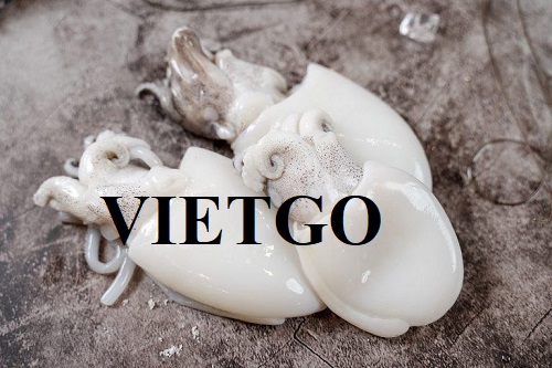 Cơ hội xuất khẩu mực nang sang thị trường Trung Quốc