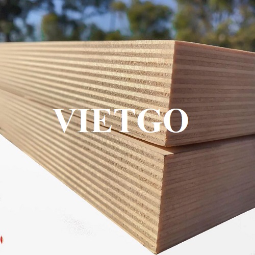 Thương vụ xuất khẩu gỗ dán đến từ vị khách người Ấn Độ cho dự án nội thất sắp tới của công ty