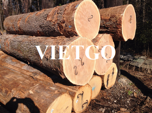 Thương vụ xuất khẩu gỗ sồi tròn sang thị trường Hàn Quốc