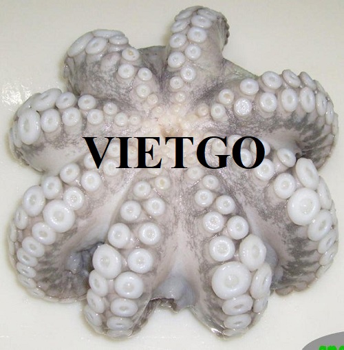Thương vụ xuất khẩu bạch tuộc hoa đông lạnh sang thị trường Síp