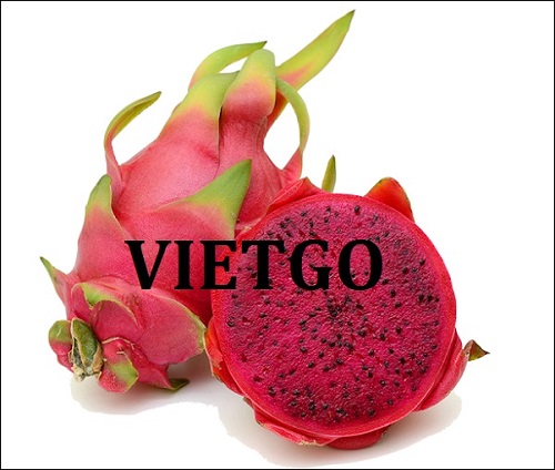 Thương vụ hợp tác với doanh nghiệp Dubai cho đơn hàng thanh long