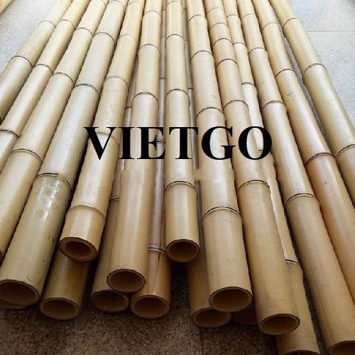 Đối tác đến từ Ấn Độ cần nhập khẩu 20.000 chiếc gậy tre