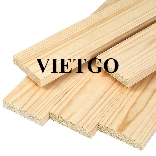 Doanh nghiệp tại Ai Cập cần nhập khẩu mặt hàng gỗ thông xẻ để hợp tác lâu dài