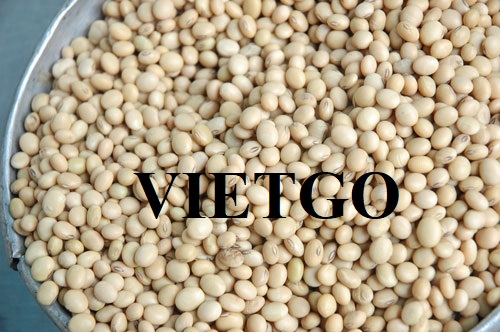 Cơ hội hợp tác xuất khẩu hạt đậu nành đến từ một doanh nghiệp tại Tây Ban Nha
