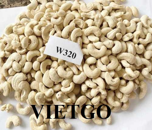 Cơ hội hợp tác với vị khách hàng người Mỹ cho đơn hàng nhập khẩu hạt điều