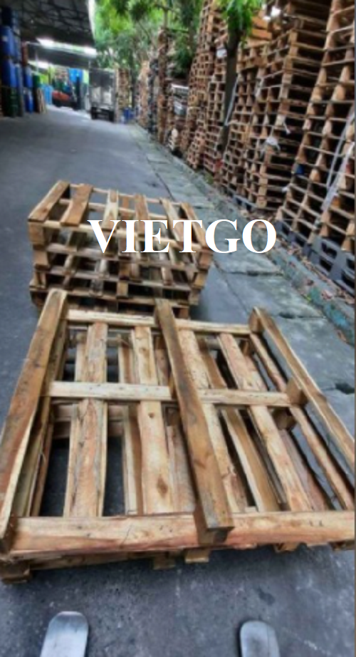 Thương vụ xuất khẩu pallet gỗ keo sang thị trường Ả Rập Xê Út