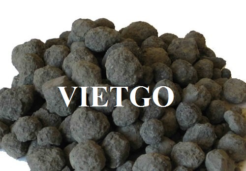 Cơ hội giao thương xuất khẩu clinker mỗi tháng đến từ vị khách hàng người Canada