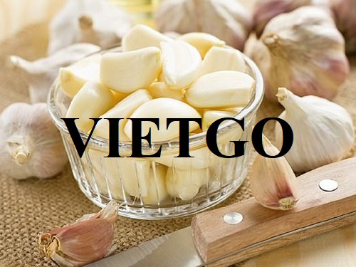 Thương vụ xuất khẩu tỏi trắng sang thị trường Ý