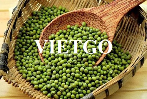 Thương vụ xuất khẩu đỗ xanh sang thị trường Indonesia
