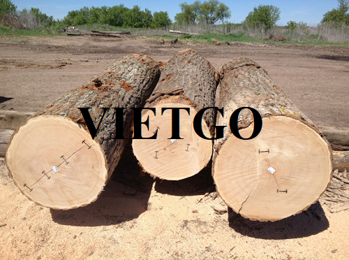 Thương vụ xuất khẩu gỗ dẻ gai tròn sang thị trường Hàn Quốc