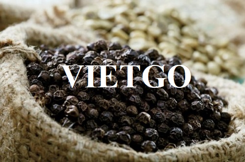 Cơ hội hợp tác với một doanh nghiệp lớn ở Úc cho đơn hàng nhập khẩu tiêu đen