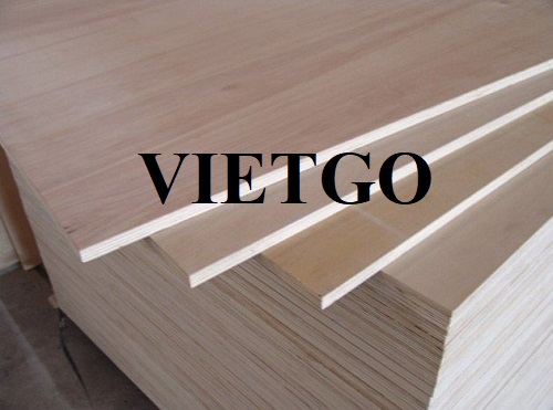 Cơ hội xuất khẩu gỗ dán sang thị trường UAE