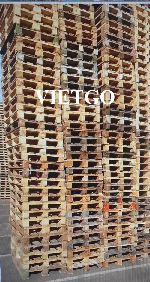 Cơ hội xuất khẩu pallet gỗ đã qua sử dụng sang thị trường Bỉ