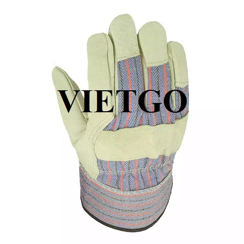 Cơ hội cung cấp sản phẩm găng tay bảo hộ cho đối tác đến từ Hoa Kỳ