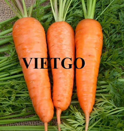 Cơ hội xuất khẩu cà rốt sang thị trường Ả Rập Xê Út