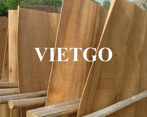 Cơ hội hợp tác xuất khẩu ván bóc gỗ bạch đàn sang thị trường Trung Quốc