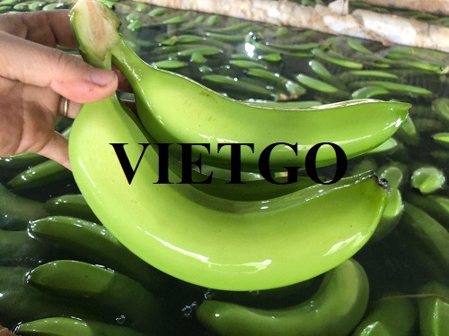 Cơ hội xuất khẩu chuối xanh đến thị trường Iran