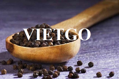 Cơ hội hợp tác với doanh nghiệp tại Ai Cập cho đơn hàng xuất khẩu hạt tiêu
