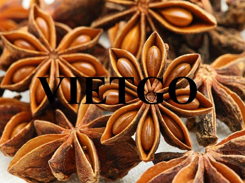 Cơ hội hợp tác xuất khẩu hoa hồi đến từ vị khách hàng người Anh