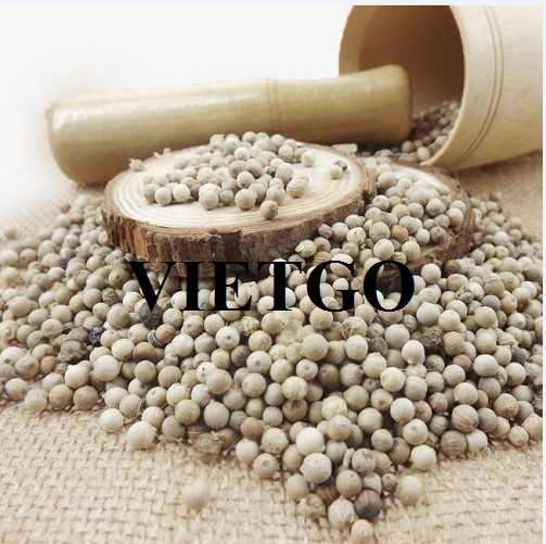 Cơ hội hợp tác xuất khẩu tiêu đến từ vị khách hàng người Anh