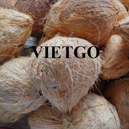 Thương vụ xuất khẩu dừa sang thị trường Iran