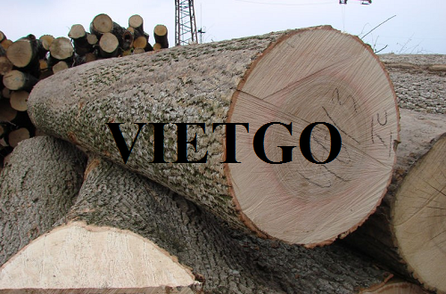 Thương vụ xuất khẩu gỗ tần bì tròn đến từ vị khách hàng người Lithuania