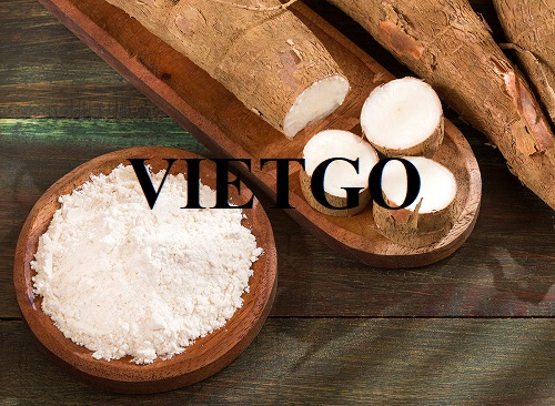 Thương vụ xuất khẩu tinh bột sắn sang thị trường Trung Quốc