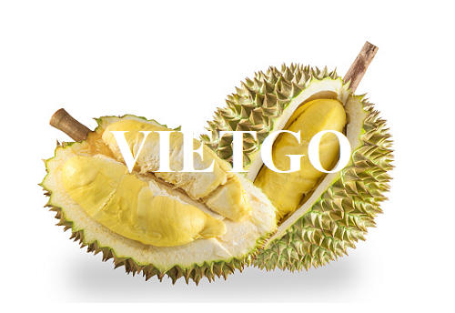 Cơ hội làm việc với thương nhân Việt Nam cho đơn hàng xuất khẩu sầu riêng đông lạnh sang thị trường Úc