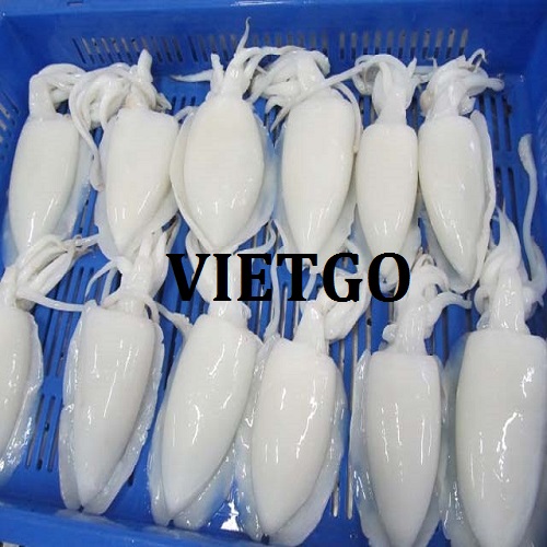 Thương vụ xuất khẩu mực đông lạnh cho doanh nghiệp tại Ukraine